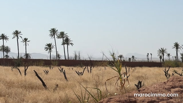 15,000 sqm Land Plot Titled 20 km from Marrakech — 3