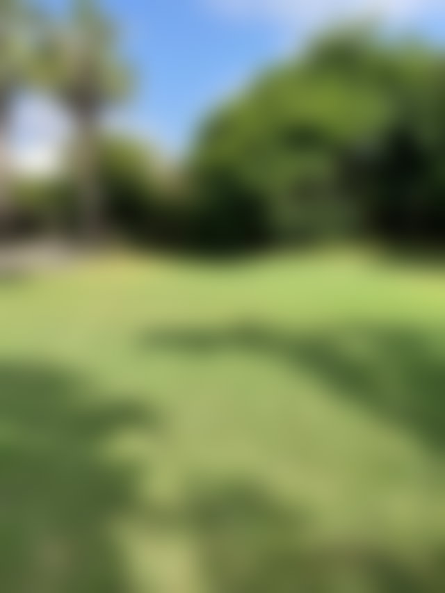Villa 2000 m² avec piscine et jardin arboré, Californie, Casablanca — 5