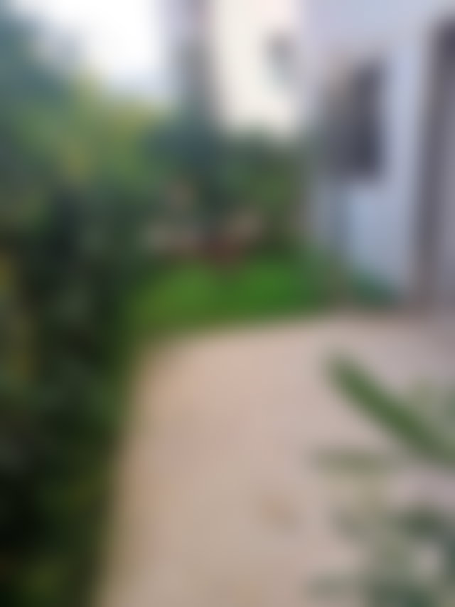 Appartement rez, de, jardin à louer à Casablanca Finance City — 5