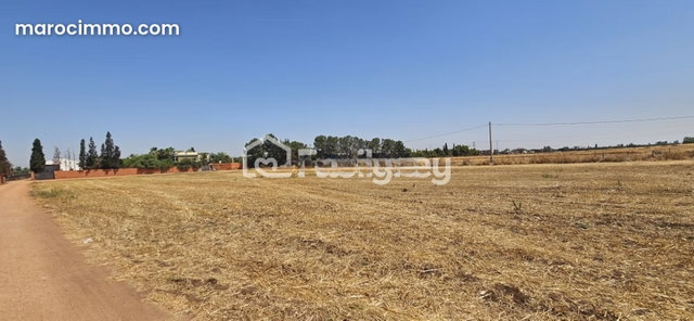 10332 sqm Farm in Berrechid for Sale — 4