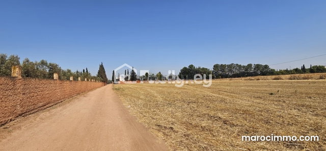 10332 sqm Farm in Berrechid for Sale — 3