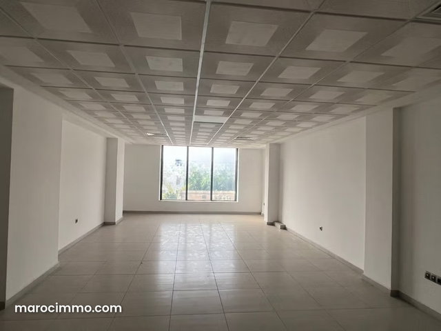 Magnificent New Office for Rent — 2