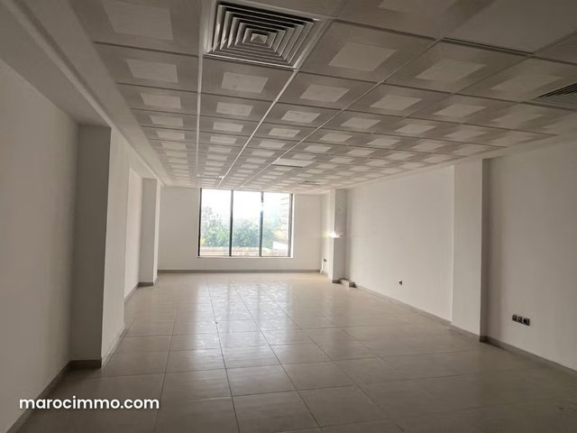 Magnificent New Office for Rent — 3