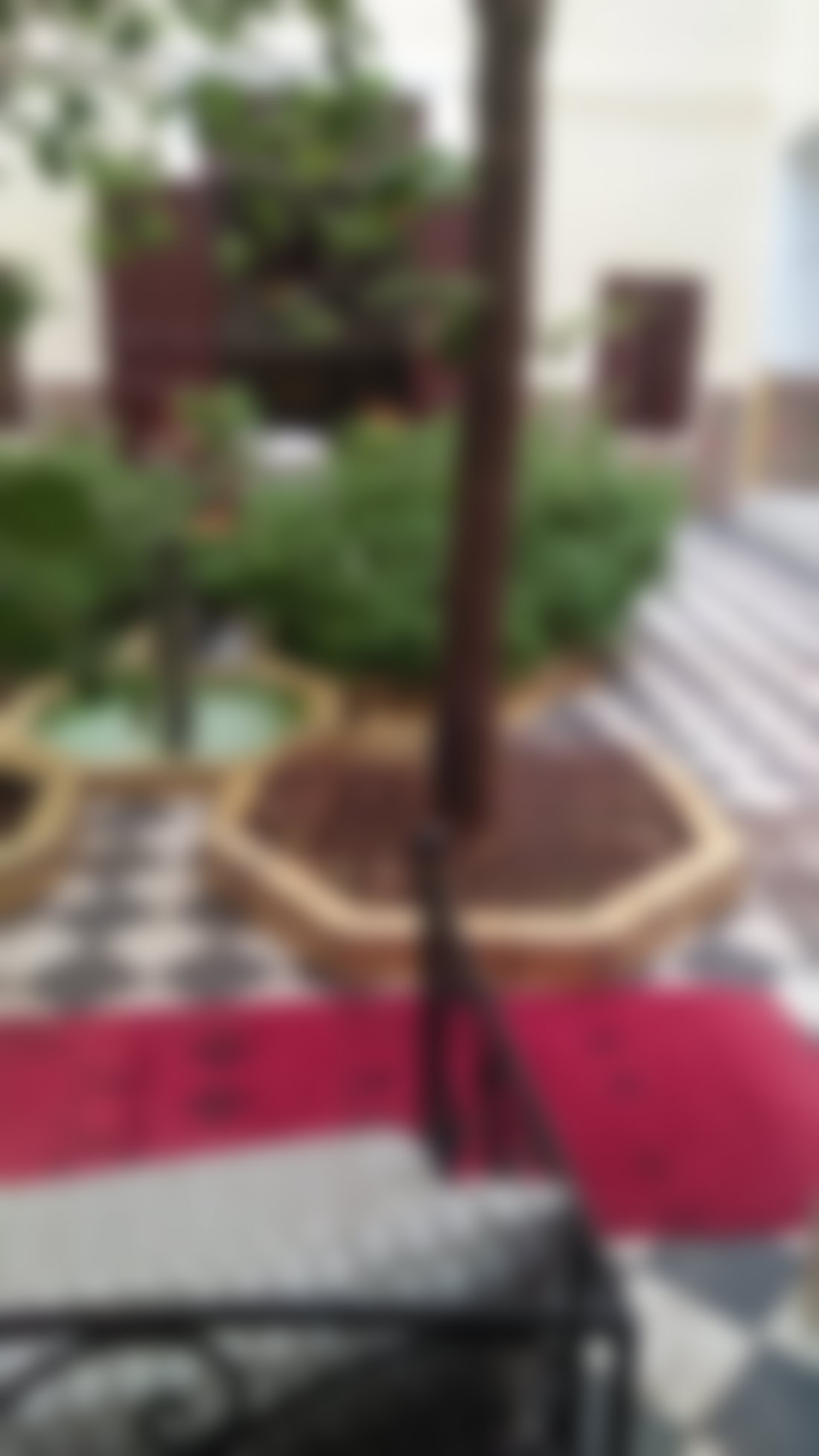 رياض أصيل بثماني غرف في قلب رياض الزيتون بمراكش