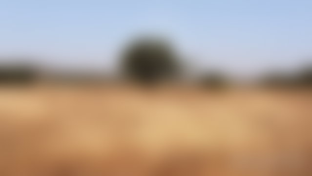 أرض هكتار مطلّة على الوادي في إيداوقارد قرب الصويرة — 2