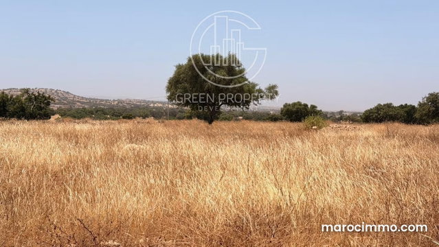 Terrain titré de 10 800 m² à Ida Ougourd — 2