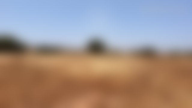 أرض هكتار مطلّة على الوادي في إيداوقارد قرب الصويرة — 3