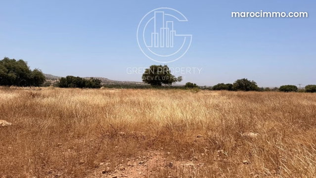 Terrain titré de 10 800 m² à Ida Ougourd — 3