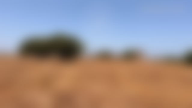 أرض هكتار مطلّة على الوادي في إيداوقارد قرب الصويرة — الصويرة