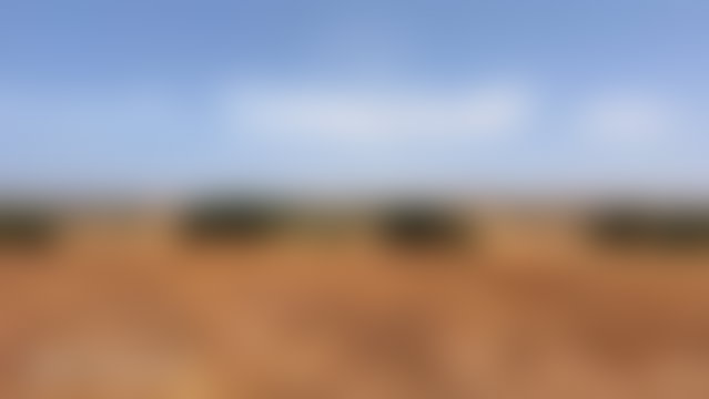 أرض هكتار مطلّة على الوادي في إيداوقارد قرب الصويرة — 5