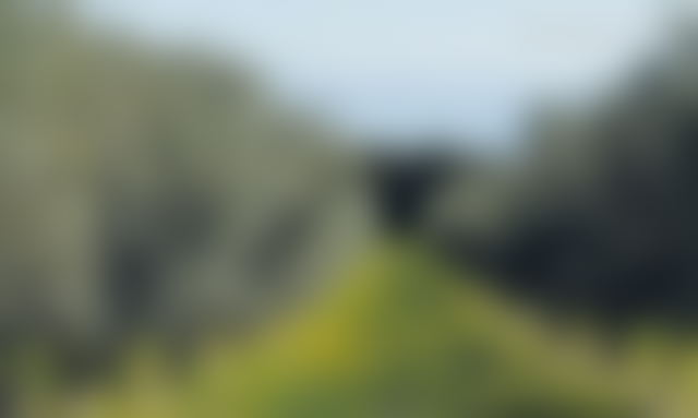 35-hectare agricultural farm with olive grove in Meknes Marjane 2 — Meknes