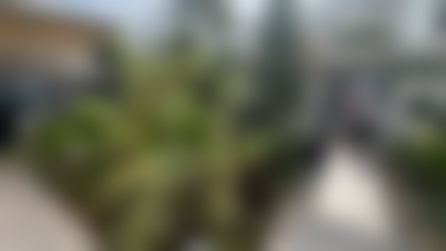Villa 380 m² avec jardin à Aïn Diab, Casablanca — 2