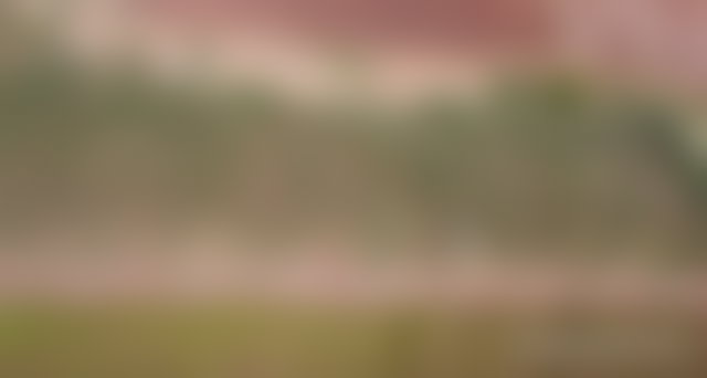 مزرعة 4 هكتارات للبيع قرب مرجان 2 بمكناس — 5