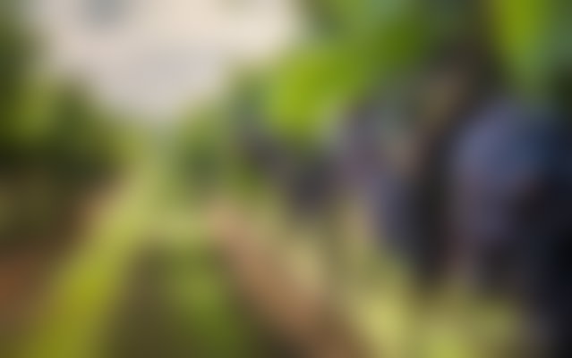 ضيعة فلاحية شاسعة للبيع قرب مرجان 2 مكناس — 2