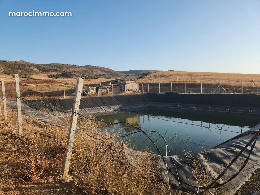 20-hectare agricultural farm, planted and equipped, Meknes — Meknes