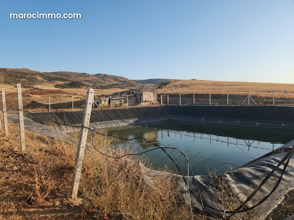 Ferme kharoub 20 hectares sur route goudronnée 1 km de hajeb