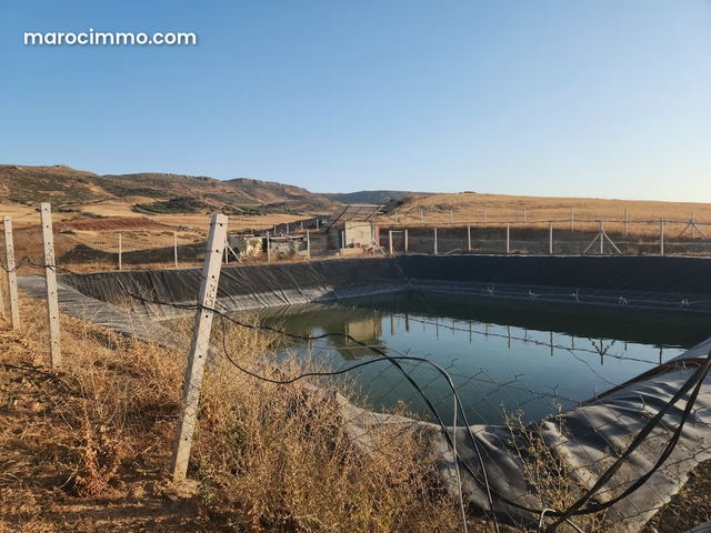Ferme kharoub 20 hectares sur route goudronnée 1 km de hajeb — Meknès