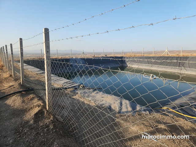 Ferme kharoub 20 hectares sur route goudronnée 1 km de hajeb — 2
