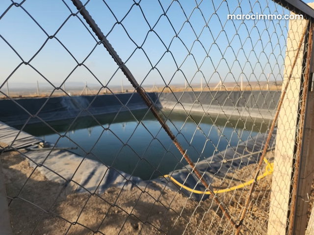 Ferme kharoub 20 hectares sur route goudronnée 1 km de hajeb — 3