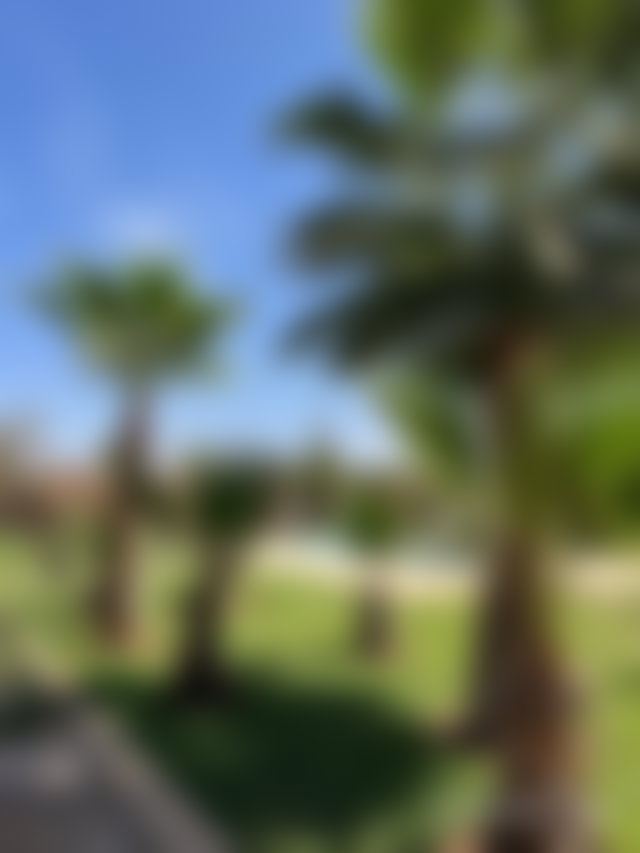 فيلا فاخرة بطريق أوريكا في مراكش — 3