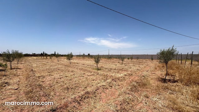 Terrain 10 000 m2 titré, vue Atlas, Affaire Rare — 3