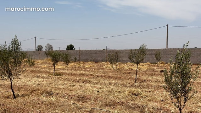 Terrain 10 000 m2 titré, vue Atlas, Affaire Rare — 2
