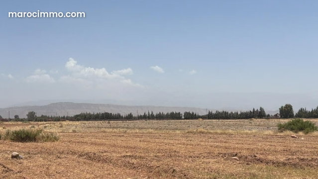 Terrain 10 000 m2 titré, vue Atlas, Affaire Rare — 4