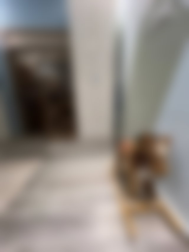 Appartement meublé 62 m² à vendre Hay Mohammadi Agadir — 2