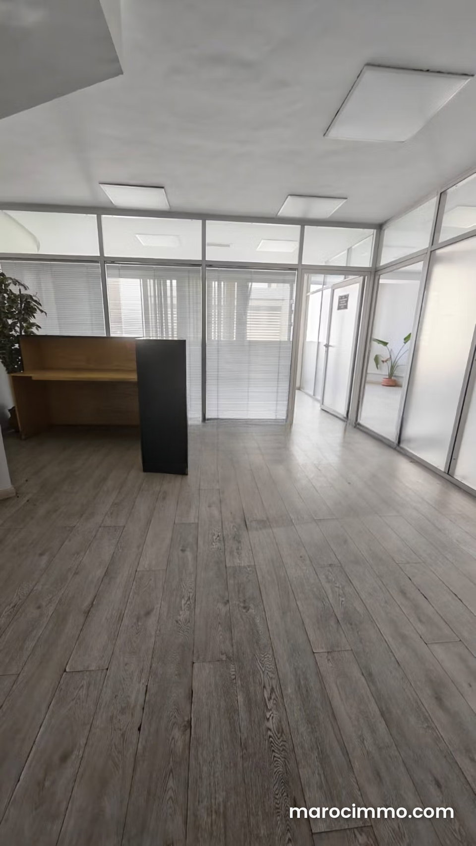 Beautiful office for sale on Palmiers