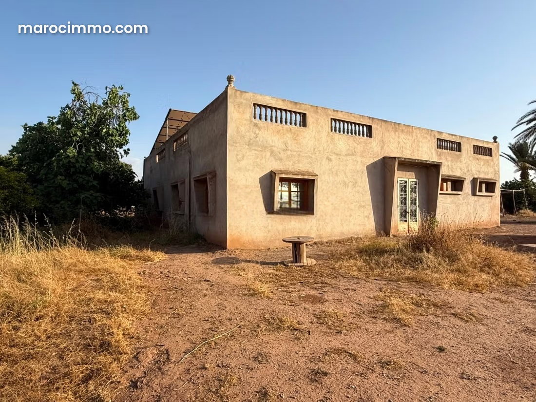 Ferme 14 hectares oliviers et verger, Route d'Amezmiz Marrakech — Marrakech