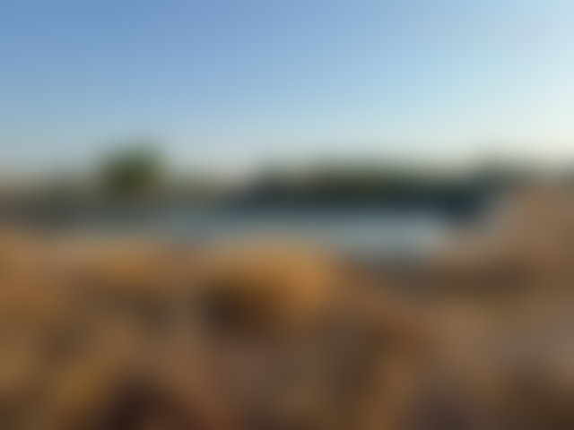 مزرعة زيتون وڤواكه للبيع بطريق أميزميز مراكش — 2