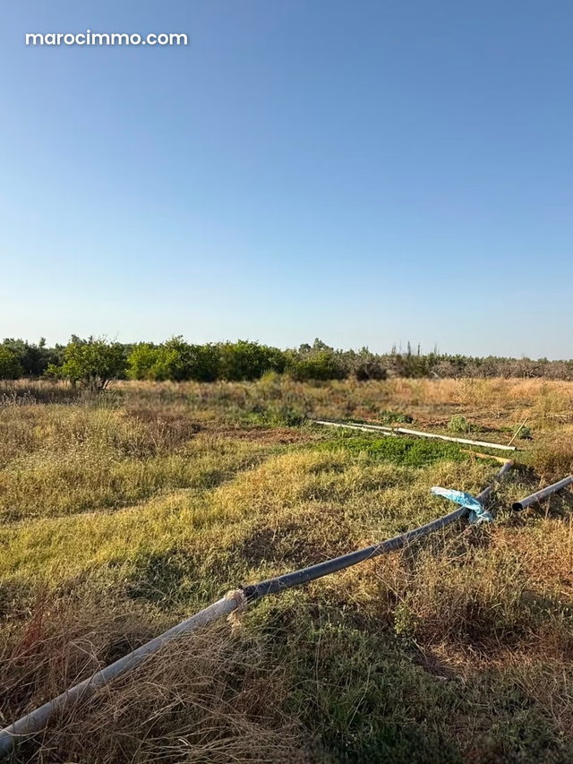 Charming Farm for Sale on Route Amizmiz. Total Surface 140000 m² — 3