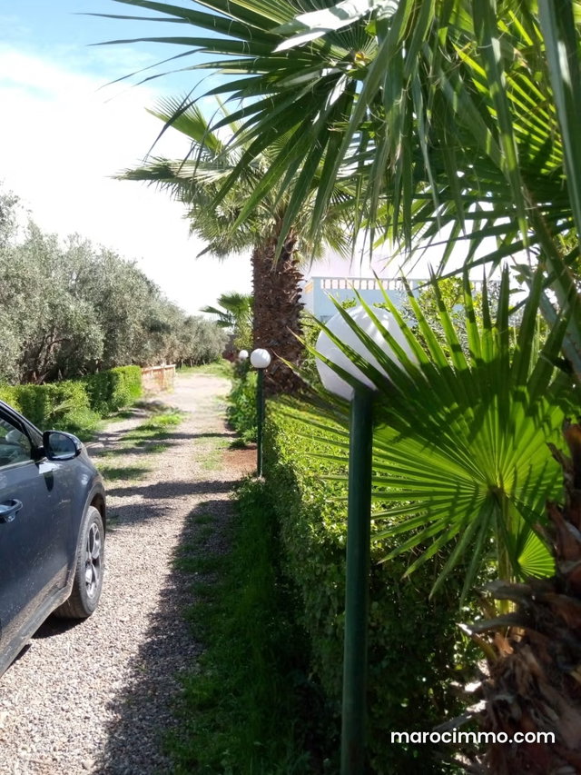 A saisir, propriété titré de 7000 m2, rte de Fès — 5