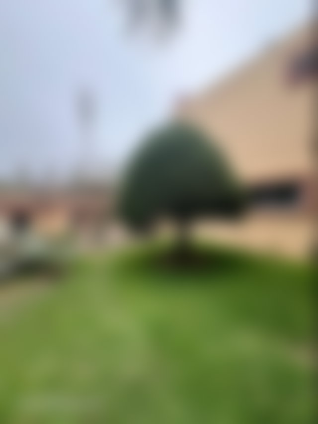 فيلا راقية بحديقة واسعة للكراء بحي السويسي في الرباط — 2