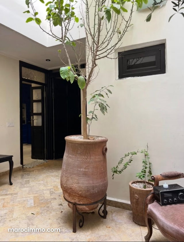 Trouvez votre riad à acheter a bab Doukkala. 5 chambres — 4