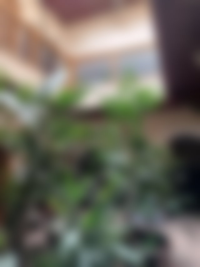 Charming Riad for Sale in Kennaria, Marrakech Medina — 2