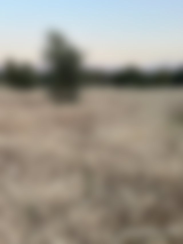أرض 9600 م² بإطلالة جبلية مميزة في تامازوزت — 4