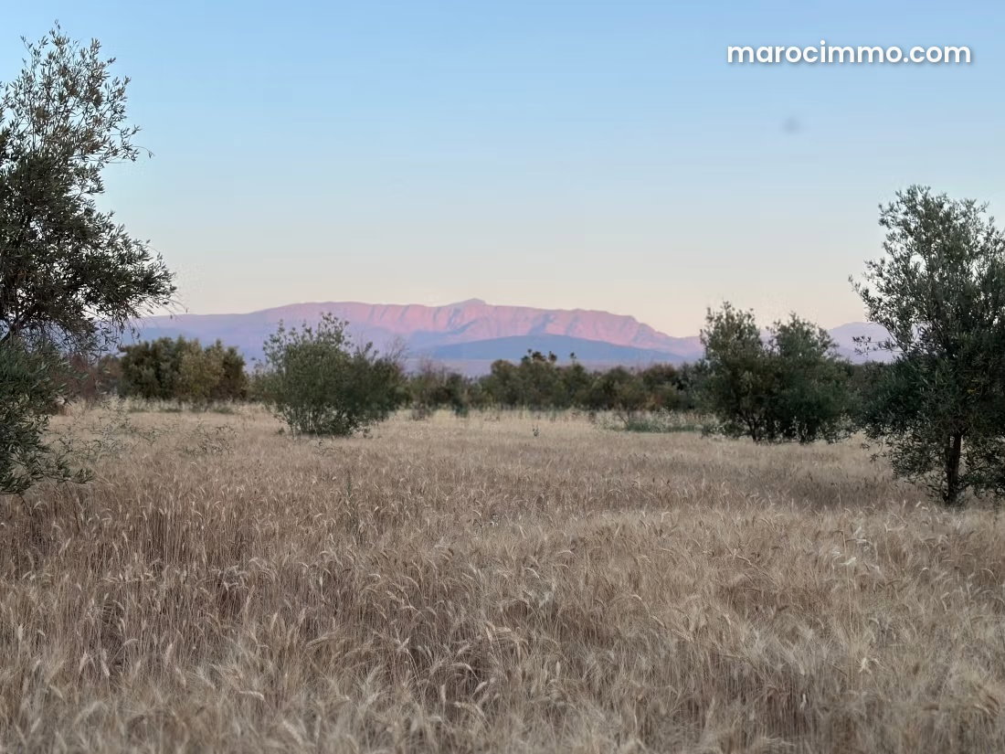 9,600 m² Plot with Mountain Views for Sale in Tamazouzte — Tamazouzte