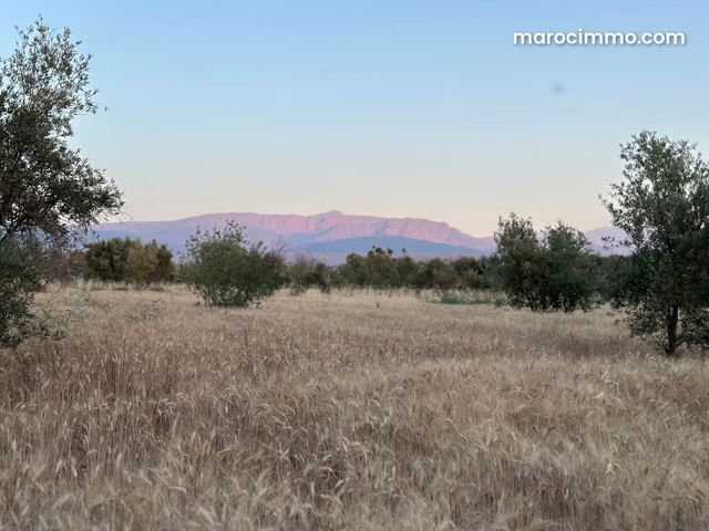 Terrain en vente à Tamazouzte. Superficie 9600 m² — Tamazouzte