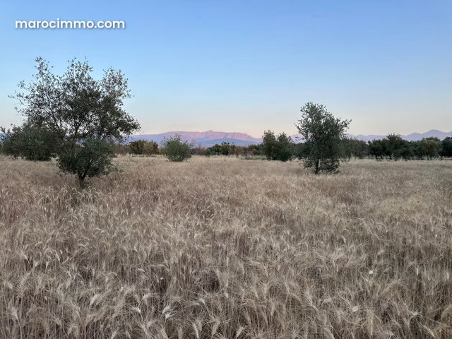 Terrain en vente à Tamazouzte. Superficie 9600 m² — 3