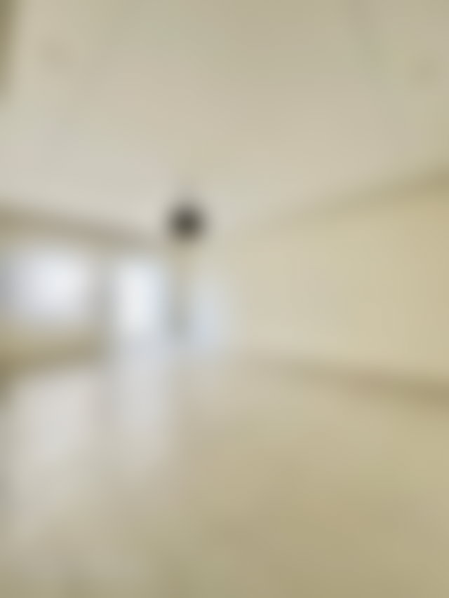 Appartement 3 chambres avec terrasse au cœur de Gauthier — 4