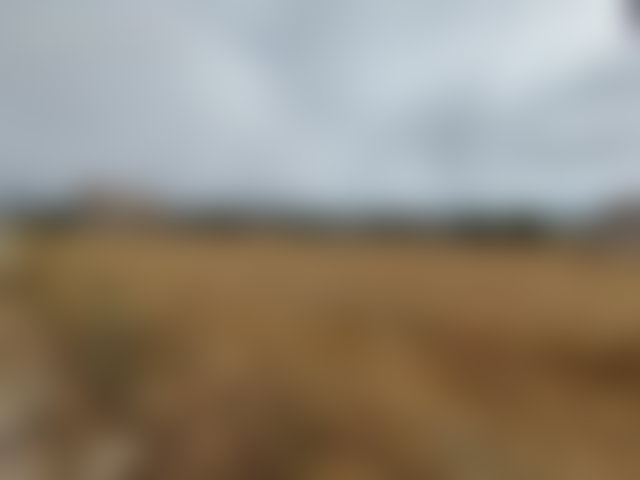 Terrain 4 hectares avec vue, Cap Spartel, Tanger à vendre — 5