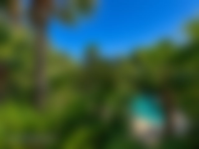Villa 800 m² avec piscine et jardin tropical à louer, Anfa Casablanca — 2