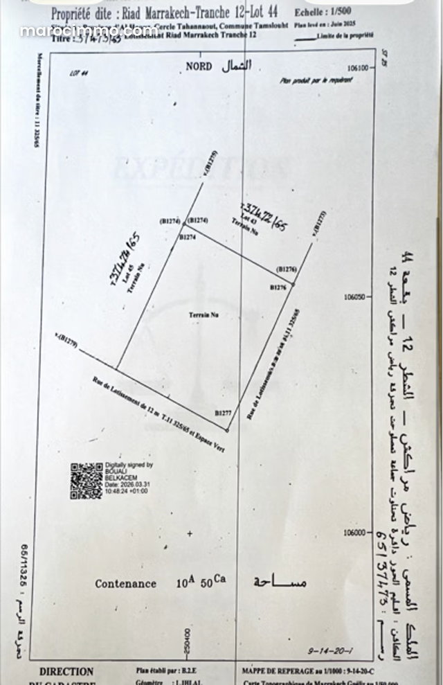 Terrain route Amizmiz vue atlas sans vis a vis — 4