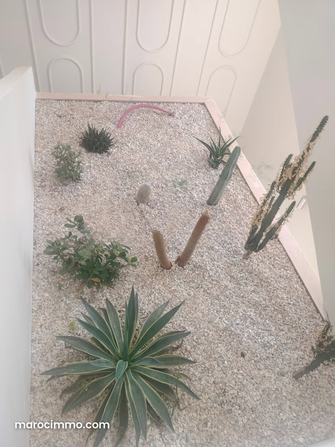 Villa 250 m² avec 3 chambres, Route de Tahanaoute, Marrakech — Marrakech