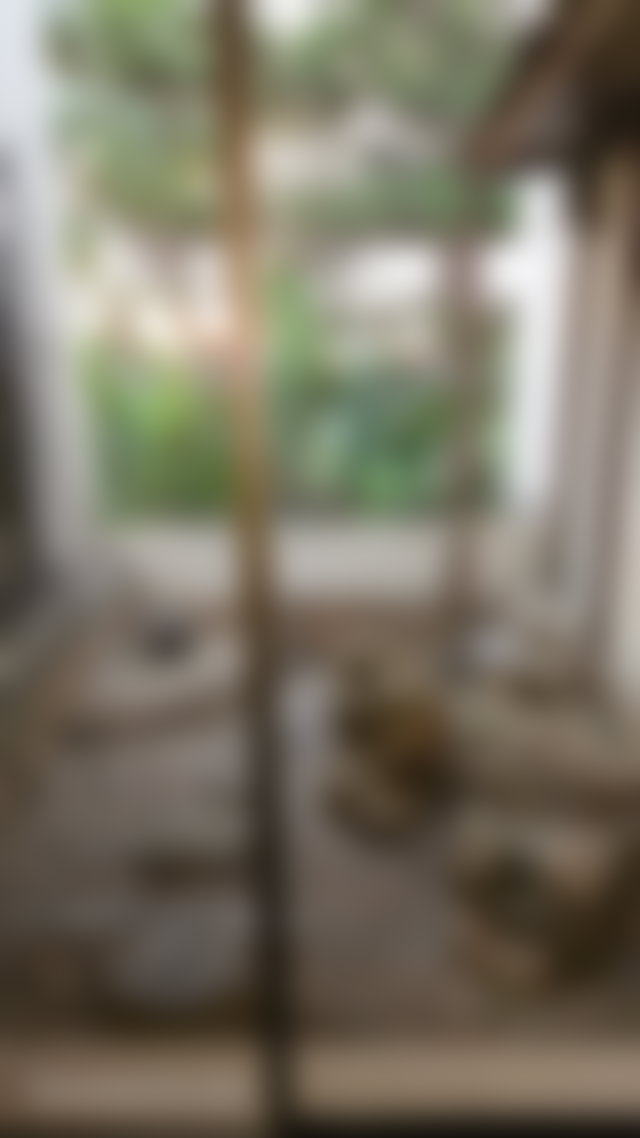 Villa 820 m² à rénover, Les Ambassadeurs, Rabat — 3