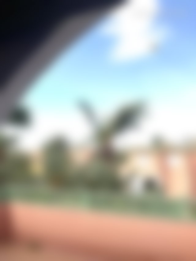 Duplex 220 m² à la Palmeraie Marrakech cadre verdoyant — 2