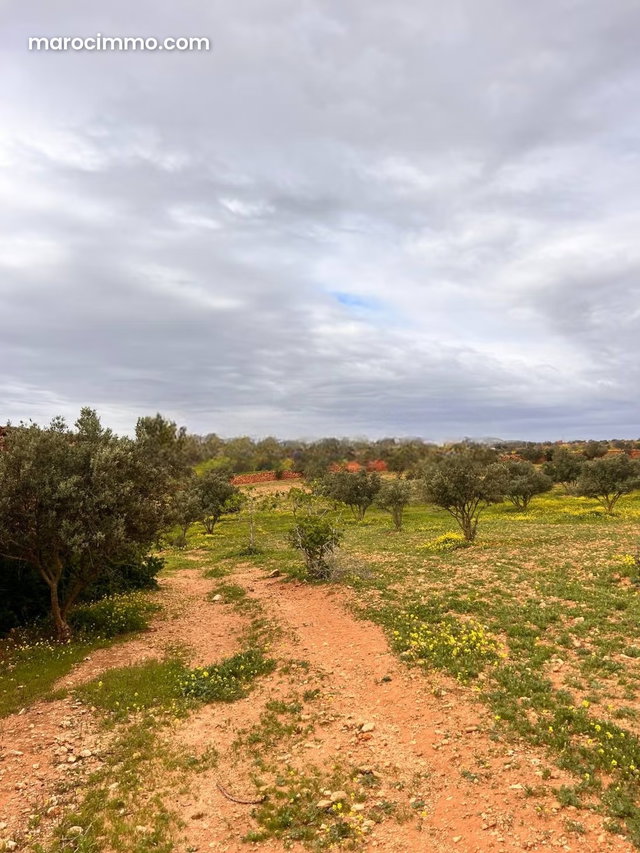 Ferme à vendre, superficie de 6 hectares — 2