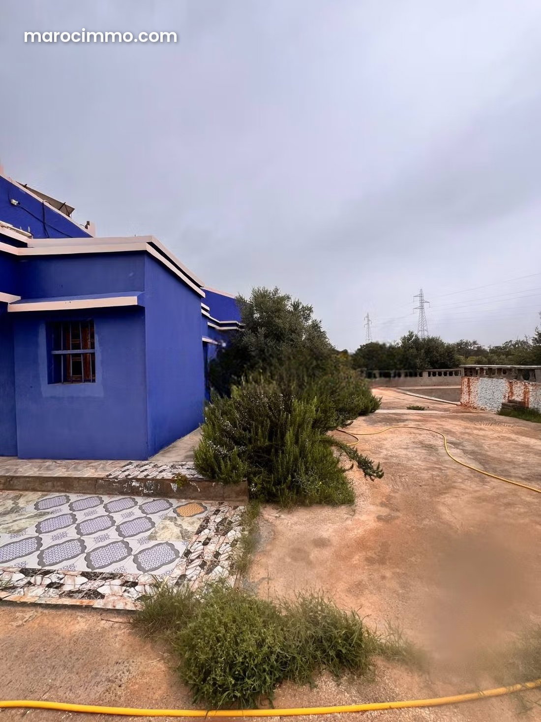 Ferme 3 hectares avec oliviers près d'Essaouira — Essaouira