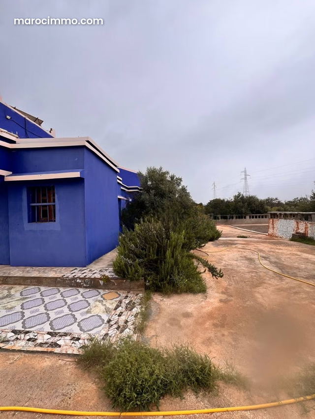 Ferme à vendre, superficie de 3 hectares — Essaouira